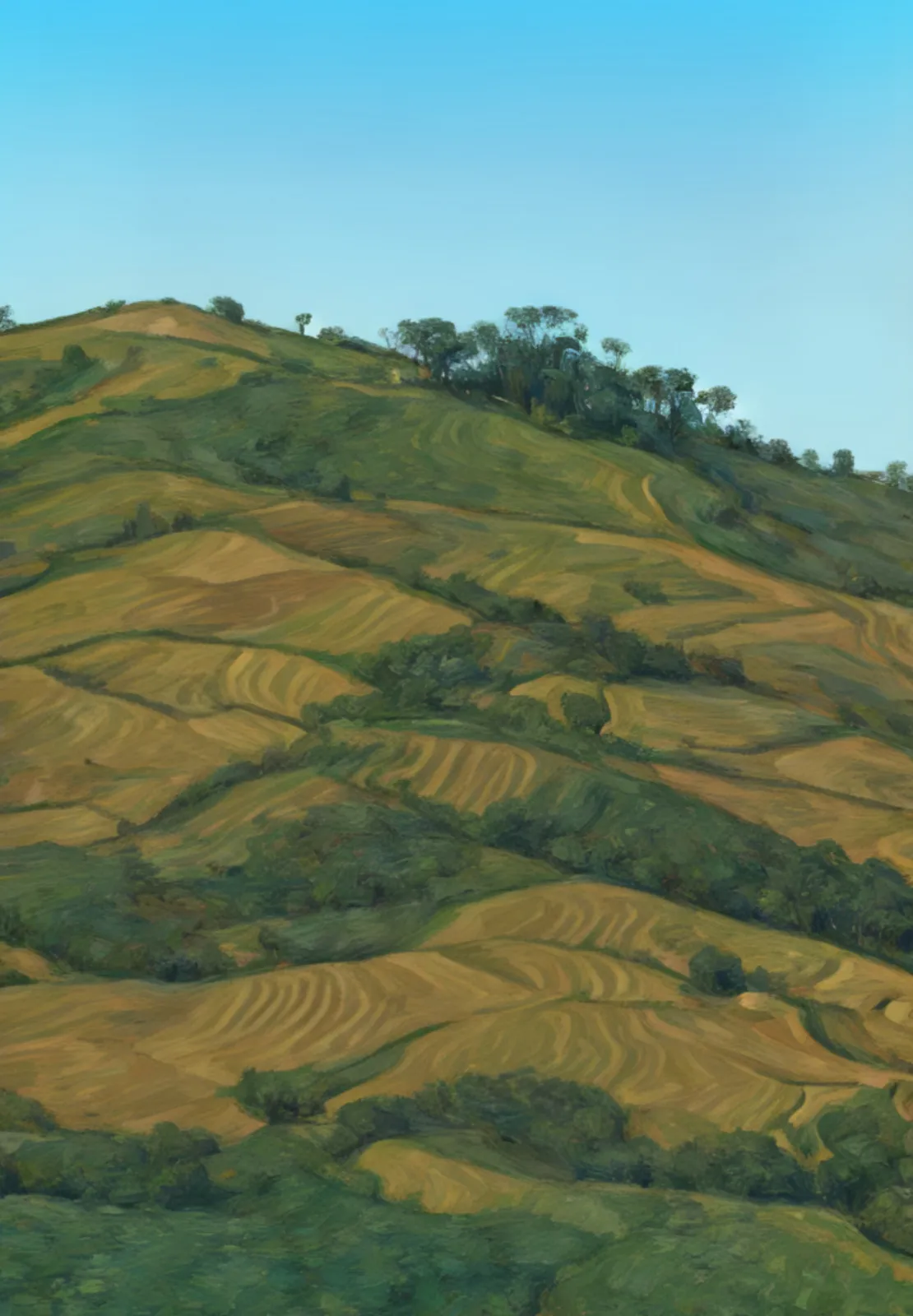 Paesaggio Ribelle - Design Proposal